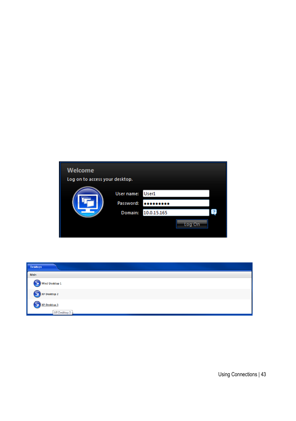 Using citrix ica, Using the citrix online plug-in | Acer Veriton N2620G User Manual | Page 43 / 68