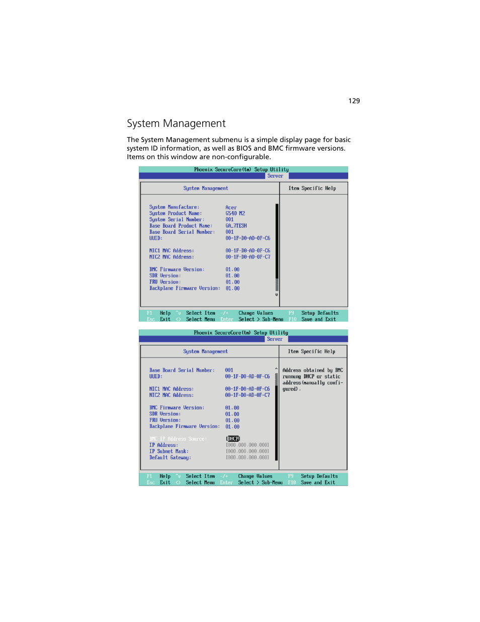 System management | Acer Altos G540 M2 User Manual | Page 137 / 221