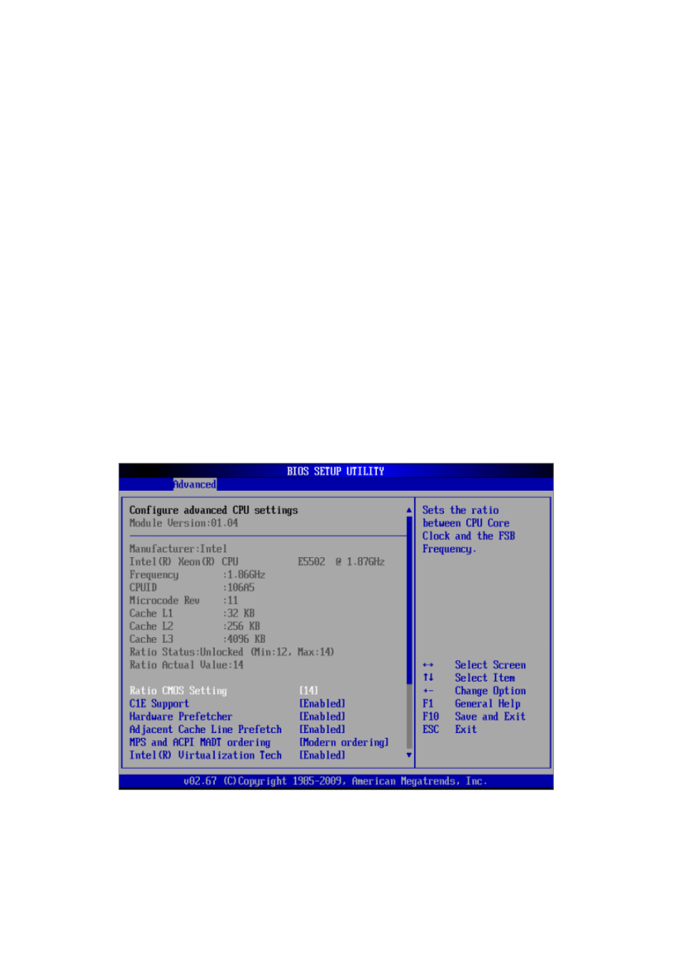 Processor & clock options | Acer AR380 F1 User Manual | Page 90 / 194