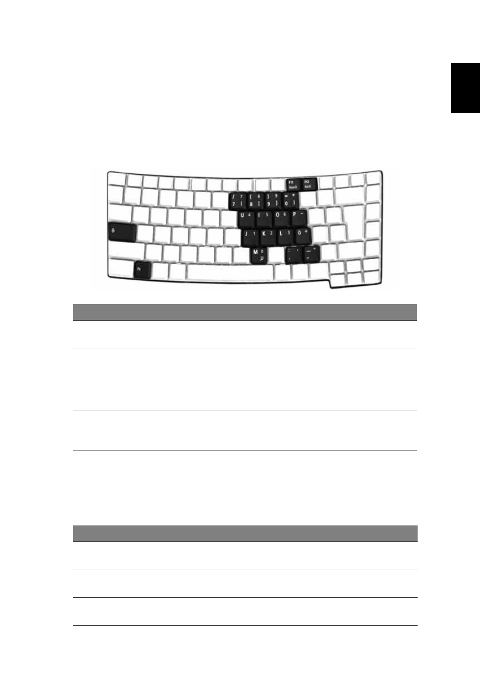 Using the keyboard, Lock keys and embedded numeric keypad | Acer Extensa 3100 User Manual | Page 31 / 75