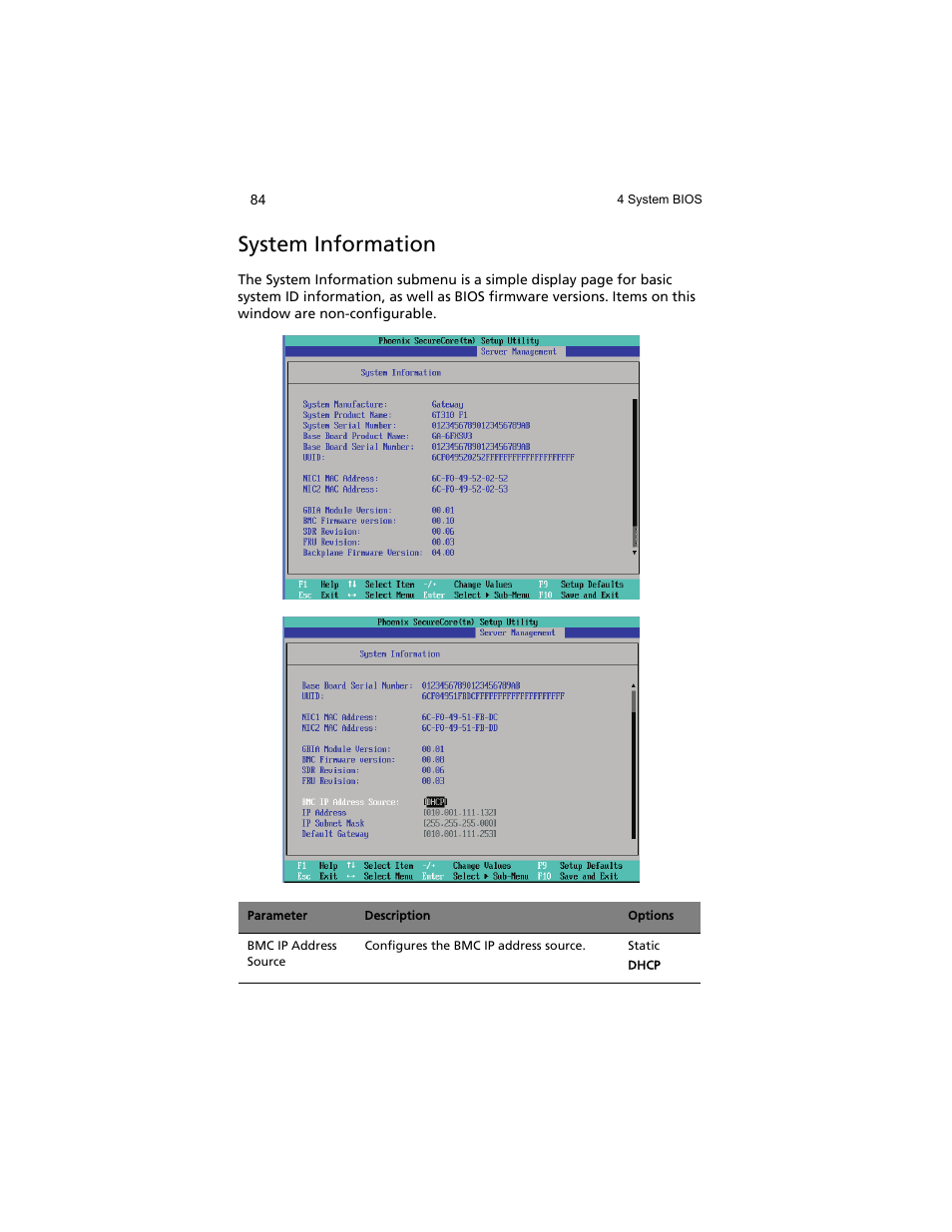 System information | Acer AT310 F1 User Manual | Page 102 / 176