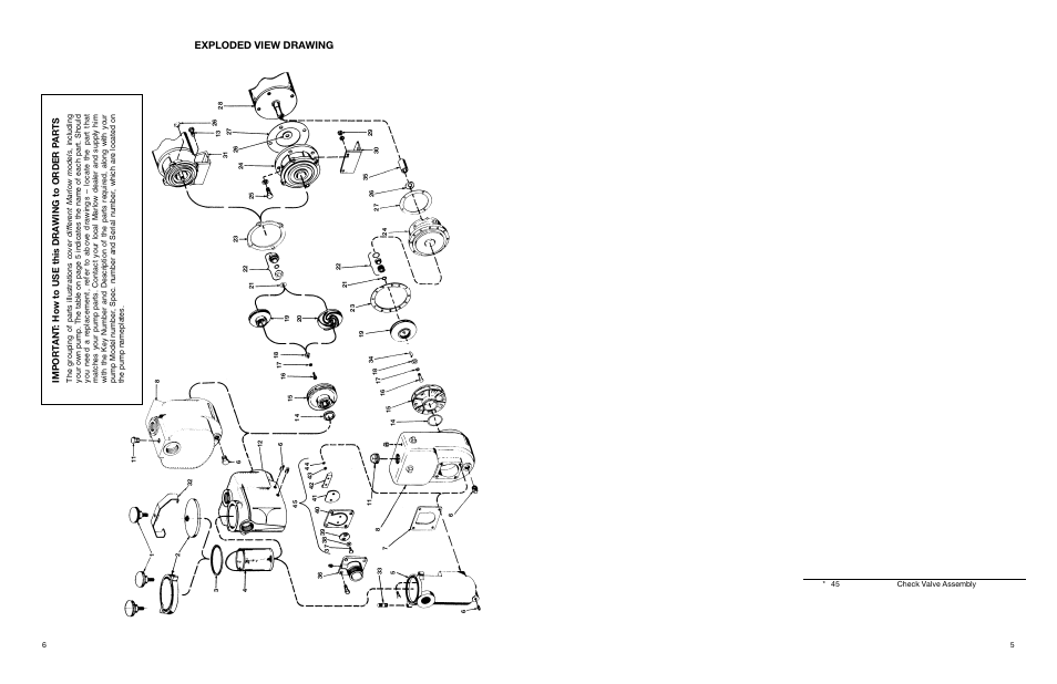Exploded view drawing | Xylem AC1683B Marlow Series Cast Iron Swimming Pool Pumps 3B28EC – 3B32EC User Manual | Page 6 / 8