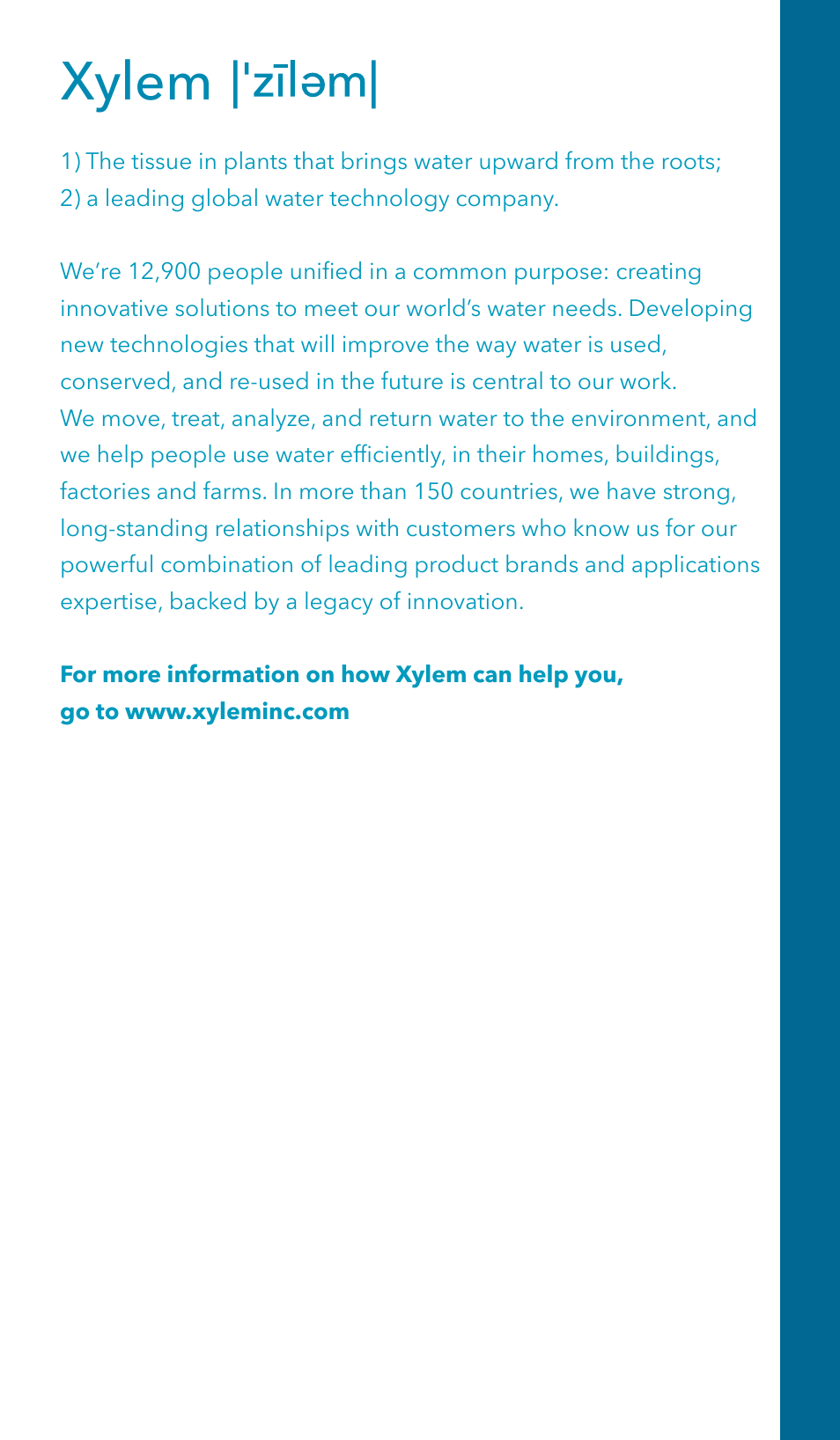 Xylem | Xylem GSSERVICE R2 Service Manual Submersible Pumps & Jet Pumps User Manual | Page 99 / 100