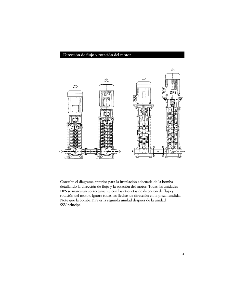 Xylem IM147 Model SSV Addendum: DPS Units User Manual | Page 3 / 4