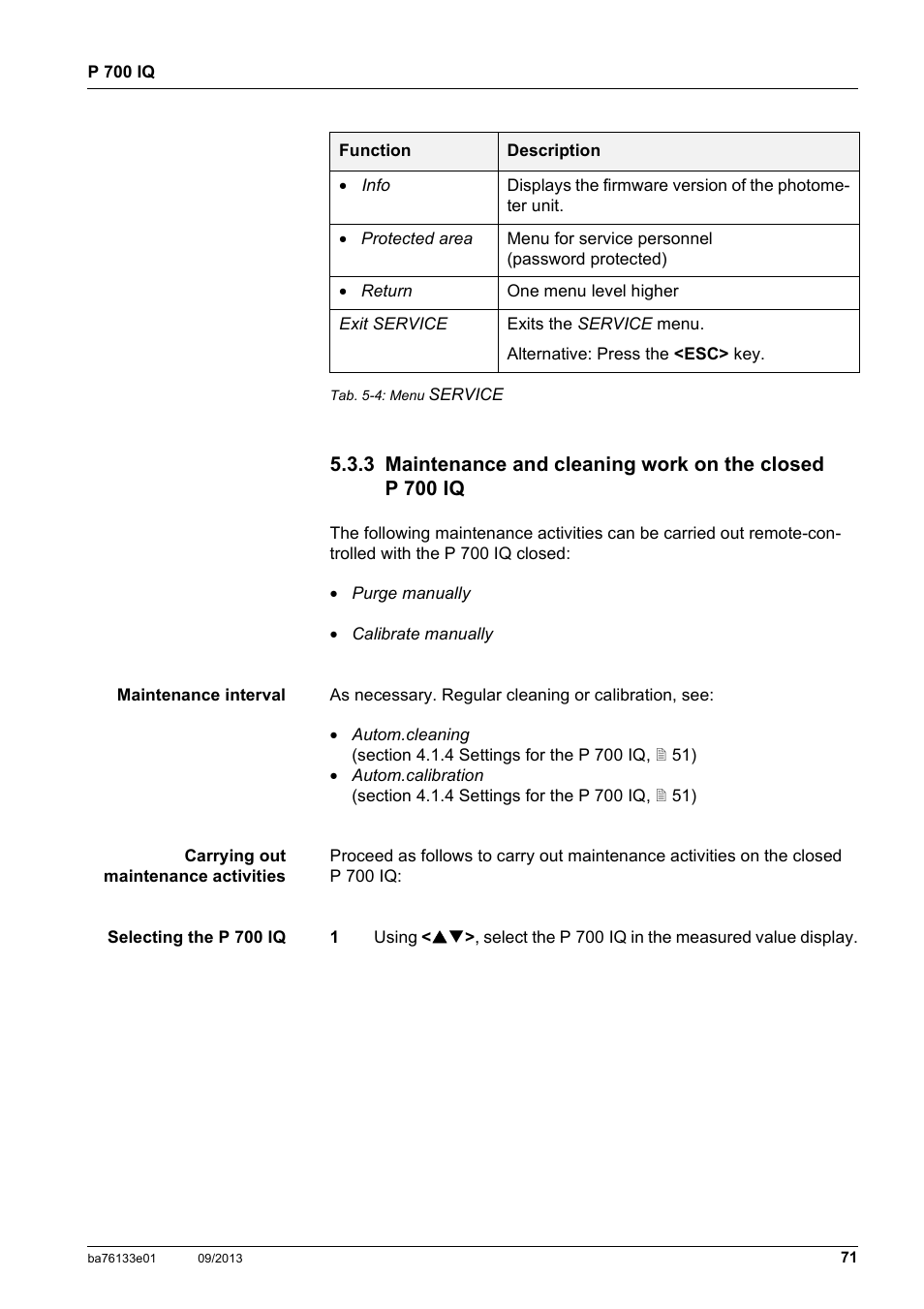 3 maintenance and cleaning work on the closed, P 700 iq, See section 5.3.3,  71 | YSI P 700 IQ Analyzer User Manual | Page 71 / 116