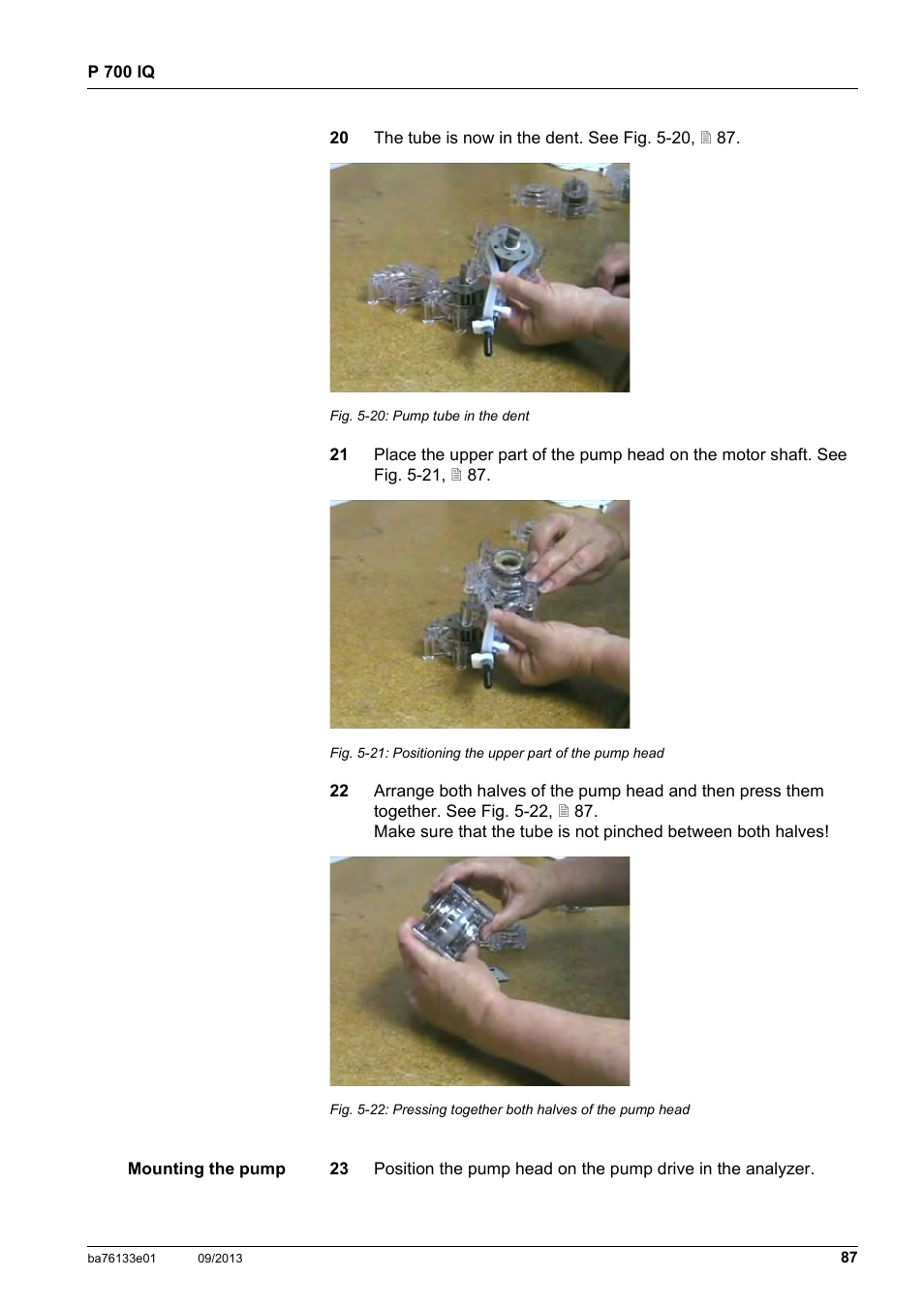 YSI P 700 IQ Analyzer User Manual | Page 87 / 116