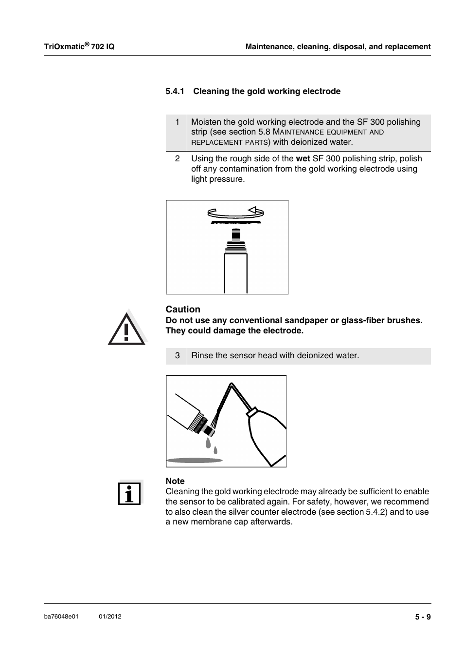 1 cleaning the gold working electrode, Cleaning the gold working electrode -9 | YSI IQ S ENSOR N ET TriOxmatic  702 IQ User Manual | Page 31 / 54