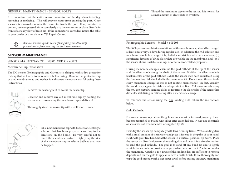 Sensor maintenance | YSI Professional Plus User Manual | Page 35 / 45