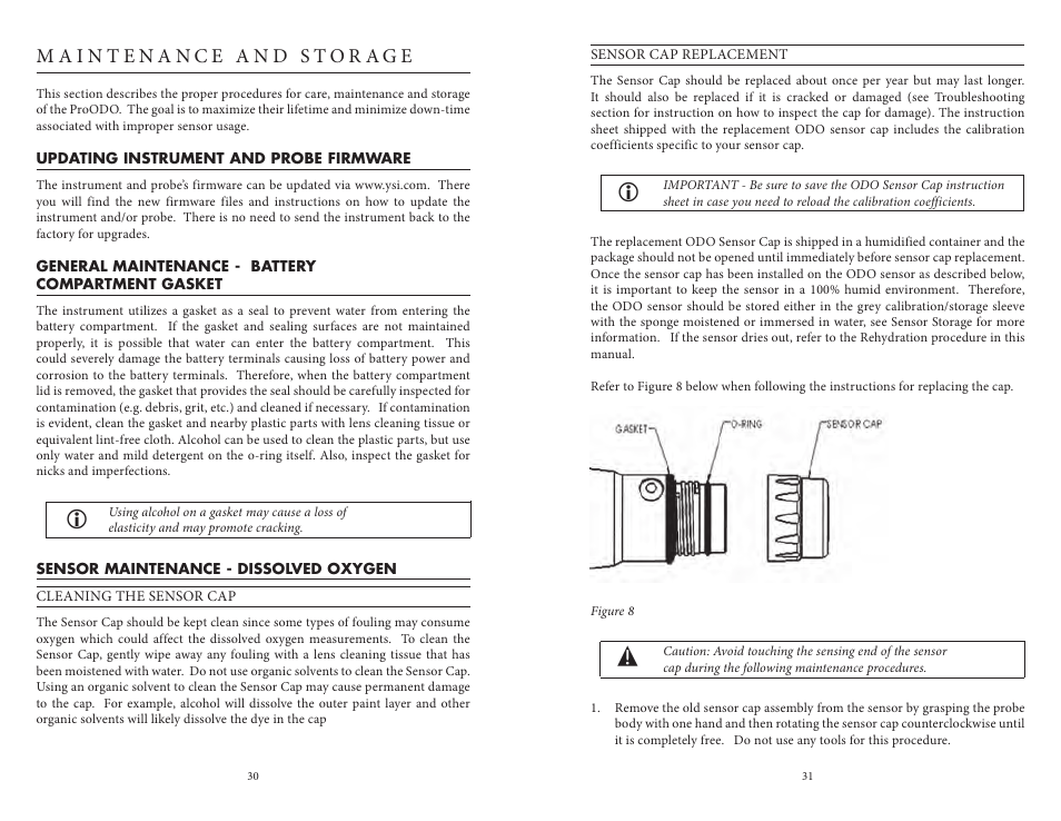 Maintenance and storage, Updating instrument and probe firmware, General maintenance - battery compartment gasket | Sensor maintenance - dissolved oxygen | YSI ProODO User Manual | Page 20 / 29