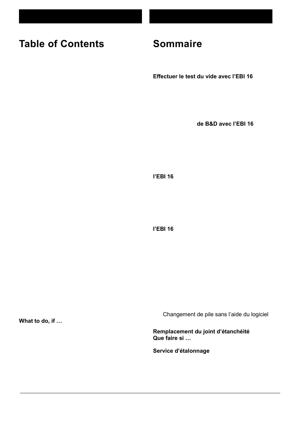 Xylem EBI 16 User Manual | Page 3 / 36