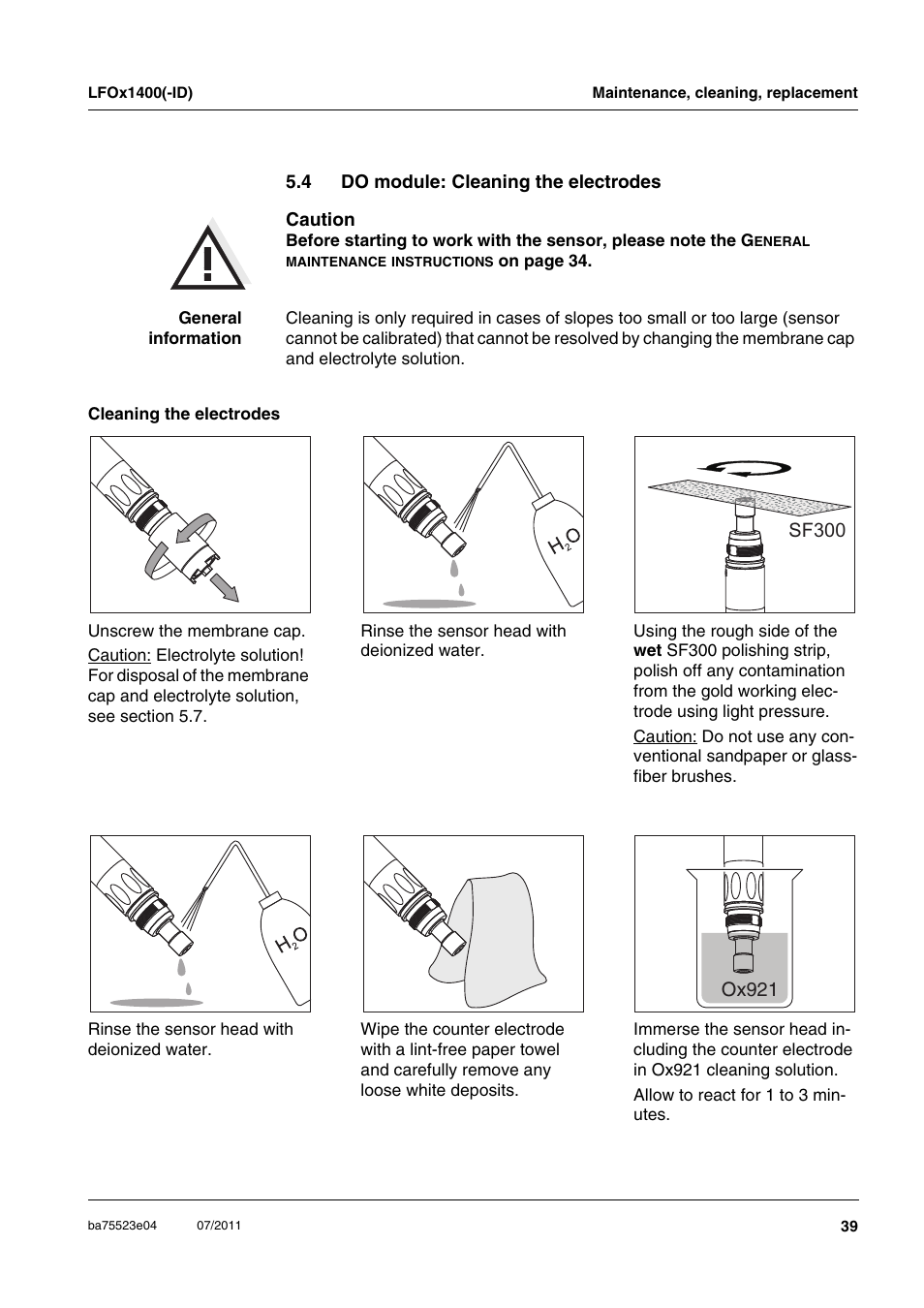 Do module: cleaning the electrodes | Xylem LFOx1400_LFOx1400-ID User Manual | Page 15 / 26