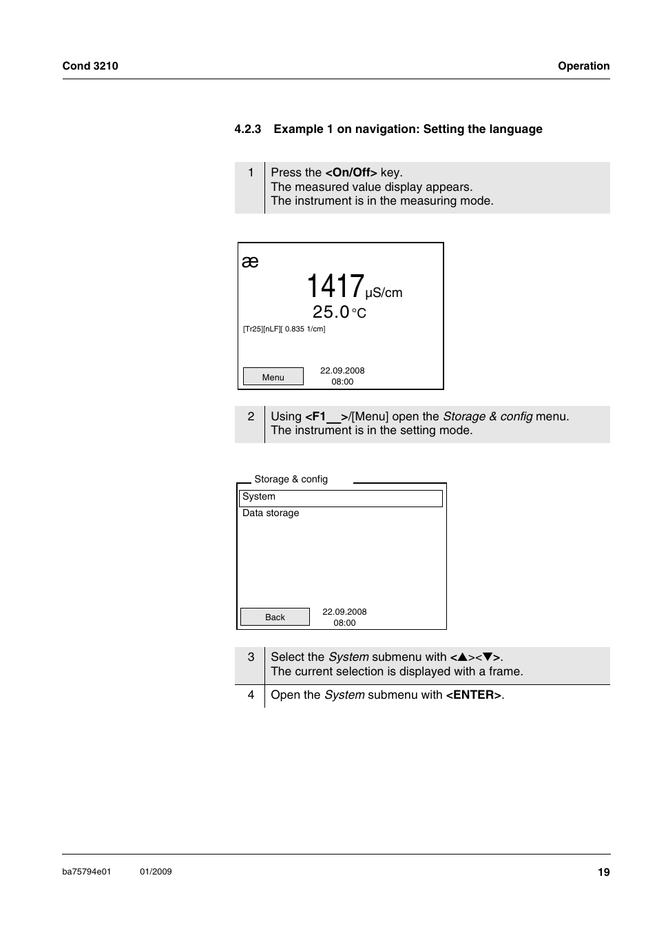 3 example 1 on navigation: setting the language, Example 1 on navigation: setting the language. 19 | Xylem COND3210 HANDHELD CONDUCTIVITY METERS User Manual | Page 19 / 56