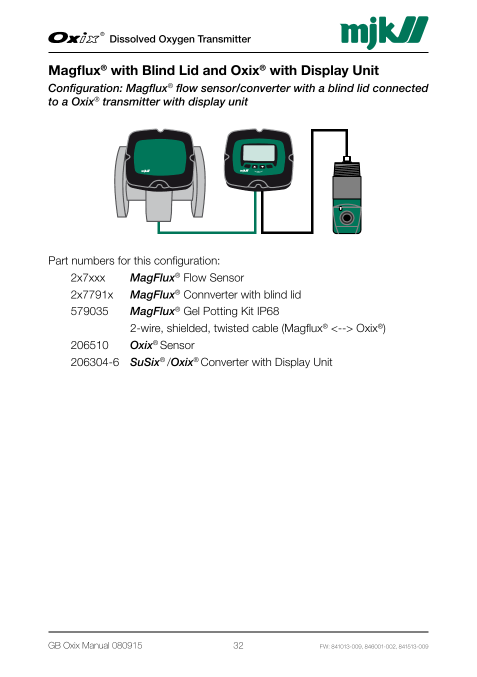 Magflux, With blind lid and oxix, With display unit | Xylem Oxix Dissolved Oxygen Transmitter User Manual | Page 32 / 126