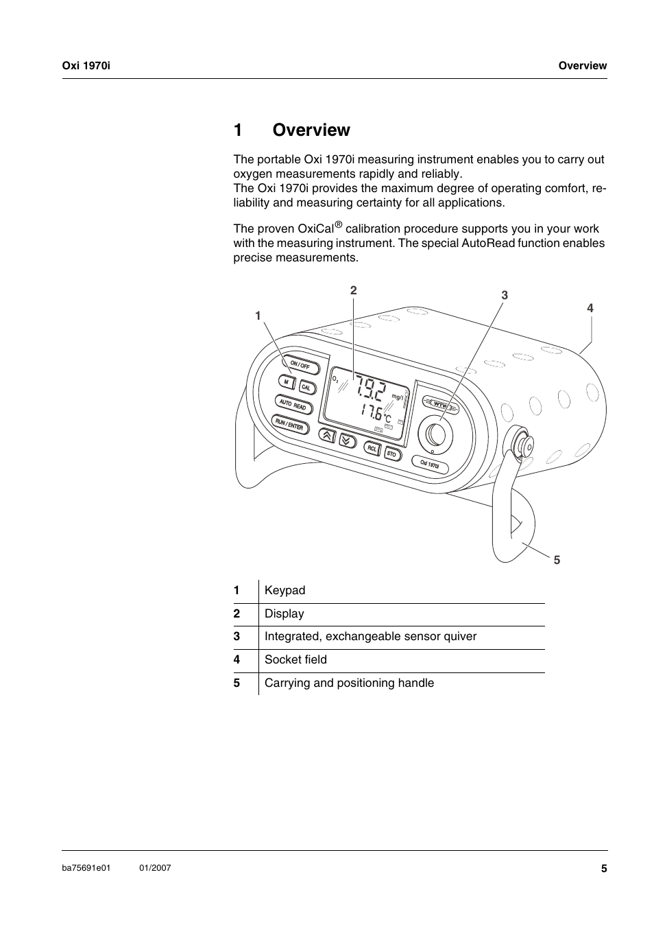 1 overview, Overview, 1overview | Xylem Oxi 1970i PORTABLE DISSOLVED OXYGEN METERS User Manual | Page 5 / 65