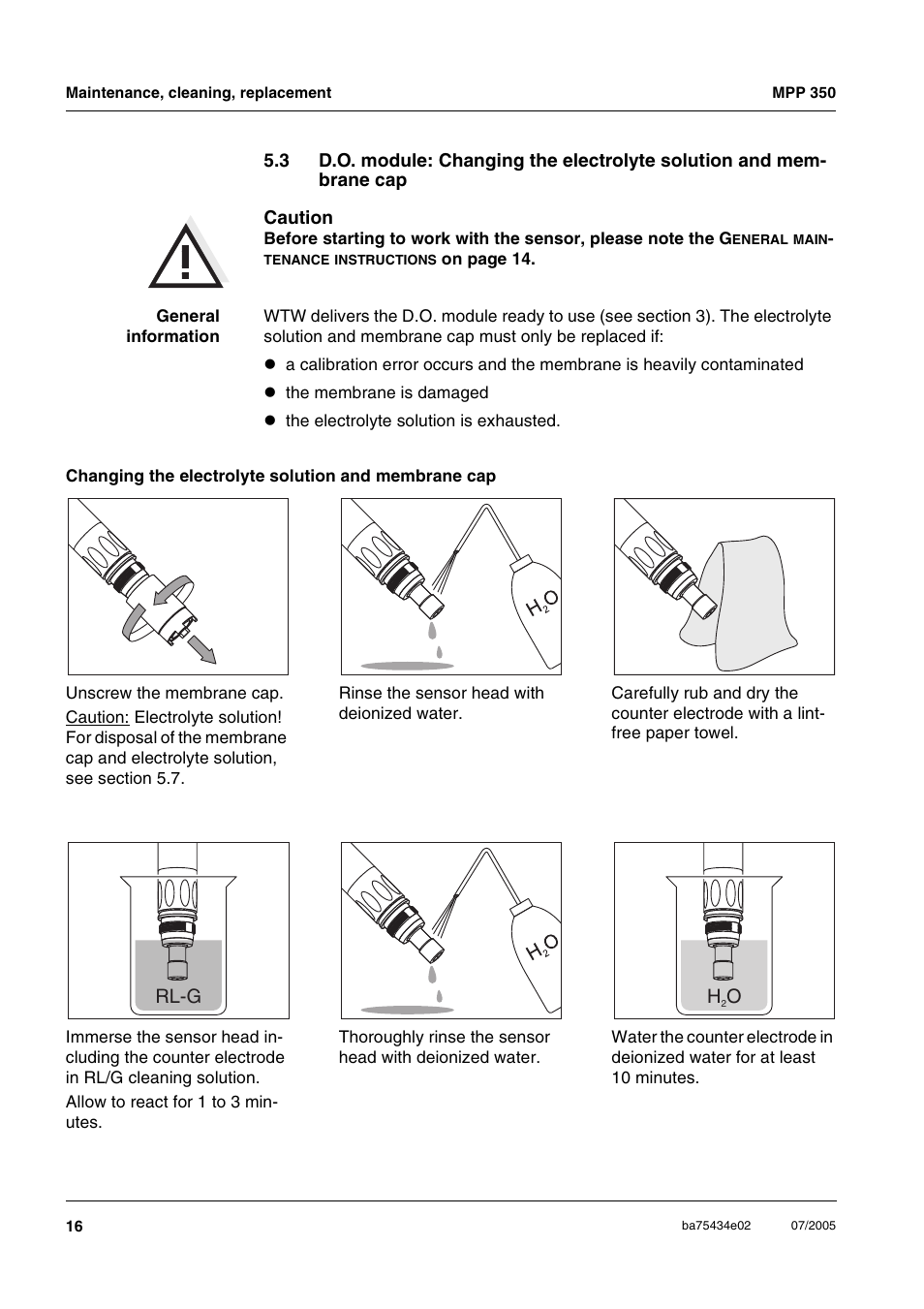 Section 5.3 d.o, Module, Hanging | Elec, Trolyte, Solution, Membrane, Rl-g h o | Xylem MPP 350 User Manual | Page 16 / 30