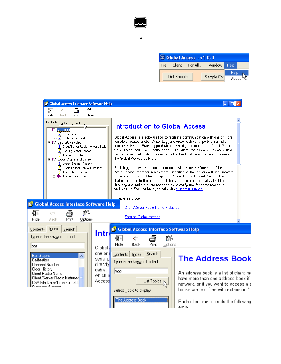 Xylem Global Access Radio Modem Software User Manual | Page 12 / 16