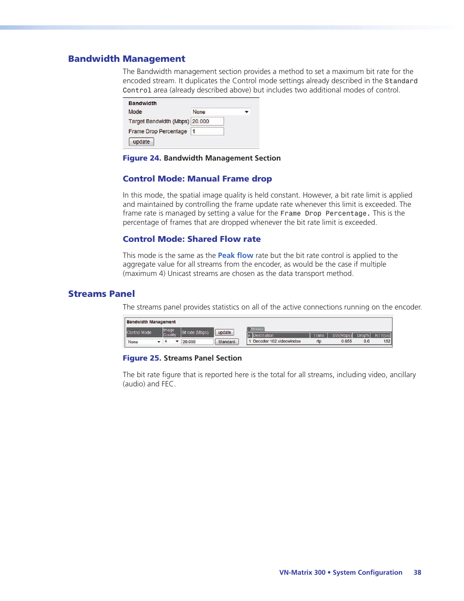 Bandwidth management, Streams panel, Bandwidth management streams panel | Extron Electronics VN-Matrix 300 User Guide User Manual | Page 44 / 77