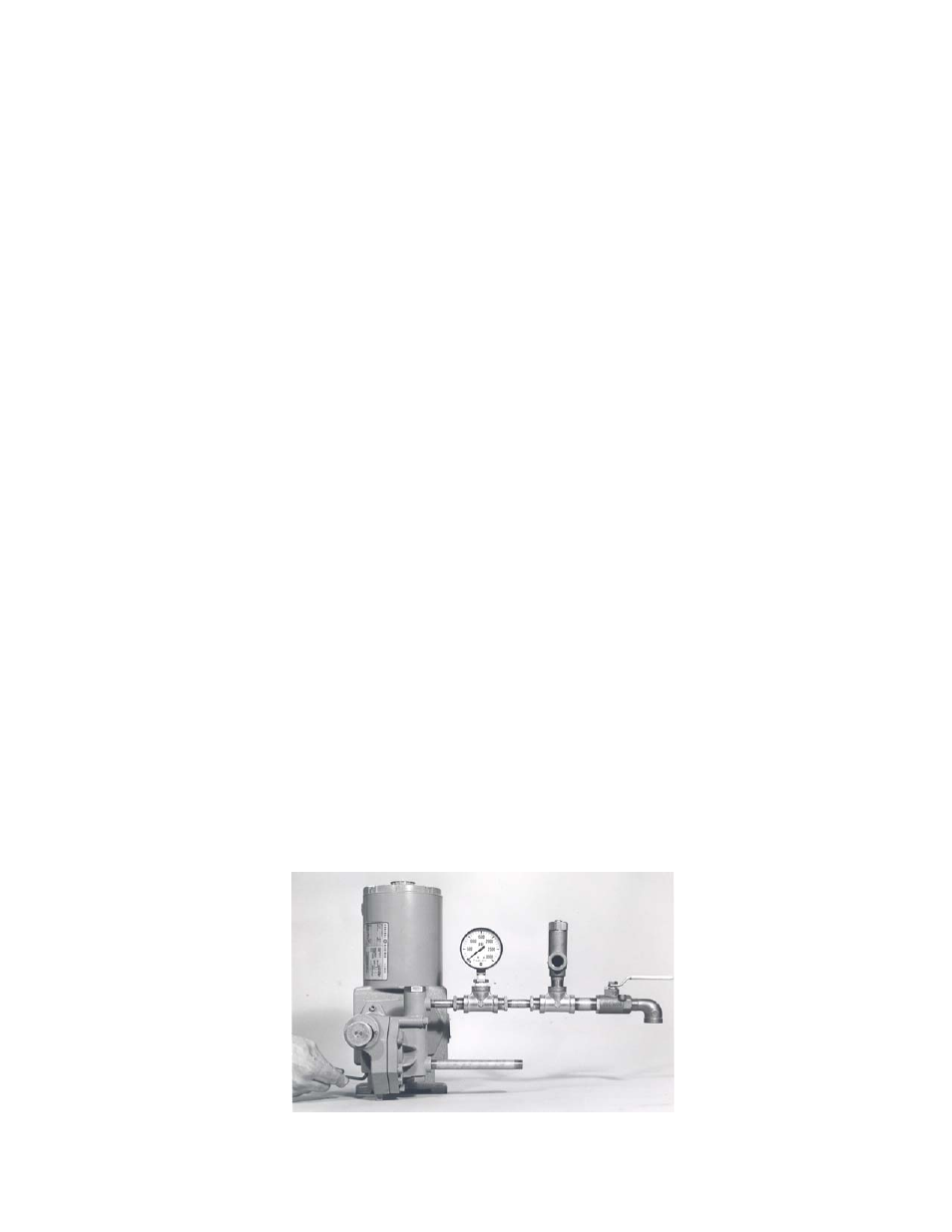 Pump Solutions Group Neptune Series 500 MODEL 481 THRU 547 User Manual | Page 10 / 44