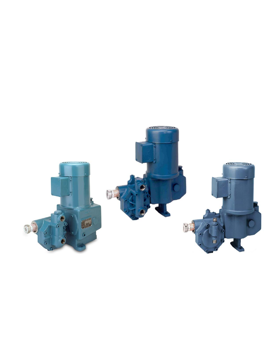 Pump Solutions Group Neptune Series 500 MODEL 481 THRU 547 User Manual | Page 4 / 44