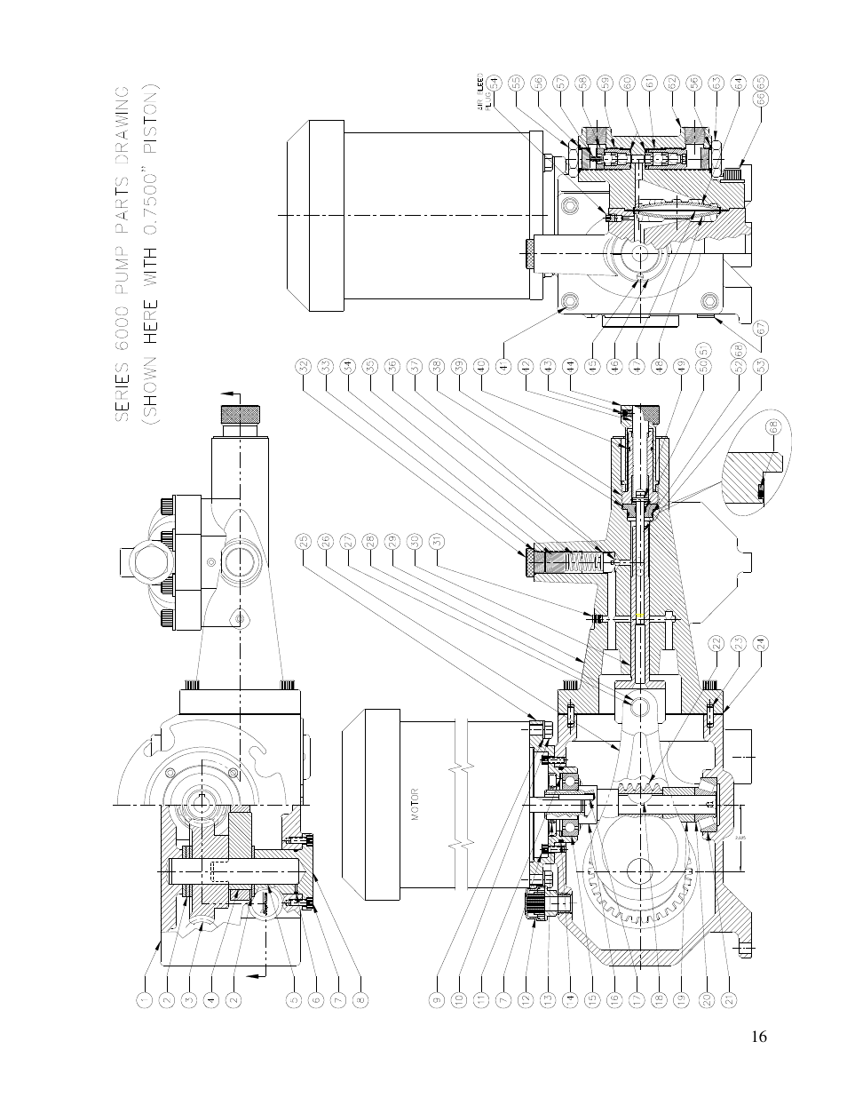Pump Solutions Group Neptune Series 6000 dia-PUMP MODELS 6100 thru 6250 User Manual | Page 16 / 27