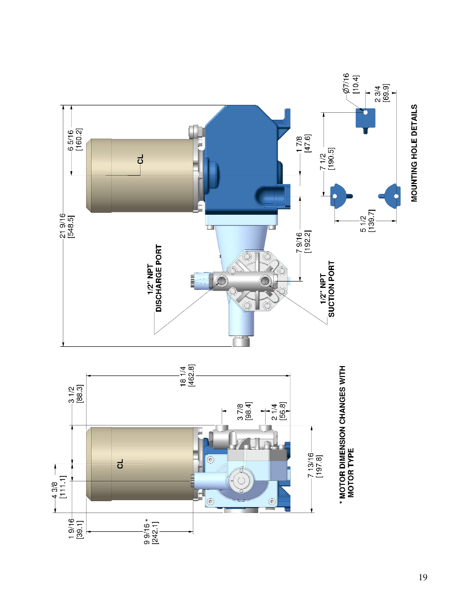 Pump Solutions Group Neptune Series 6000 dia-PUMP MODELS 6100 thru 6250 User Manual | Page 19 / 27