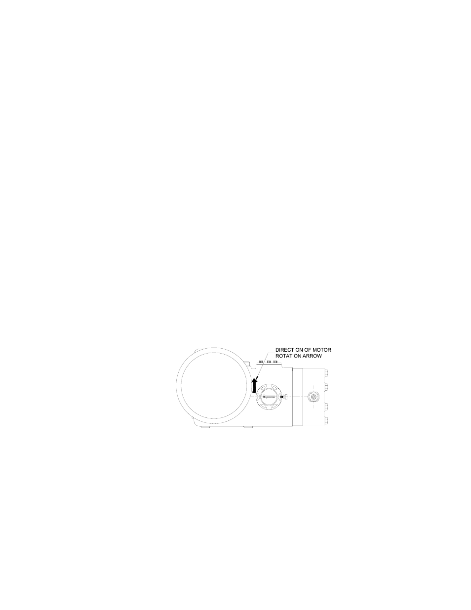 Pump Solutions Group Neptune Series 7000 dia-PUMP MODEL 7000 User Manual | Page 7 / 20