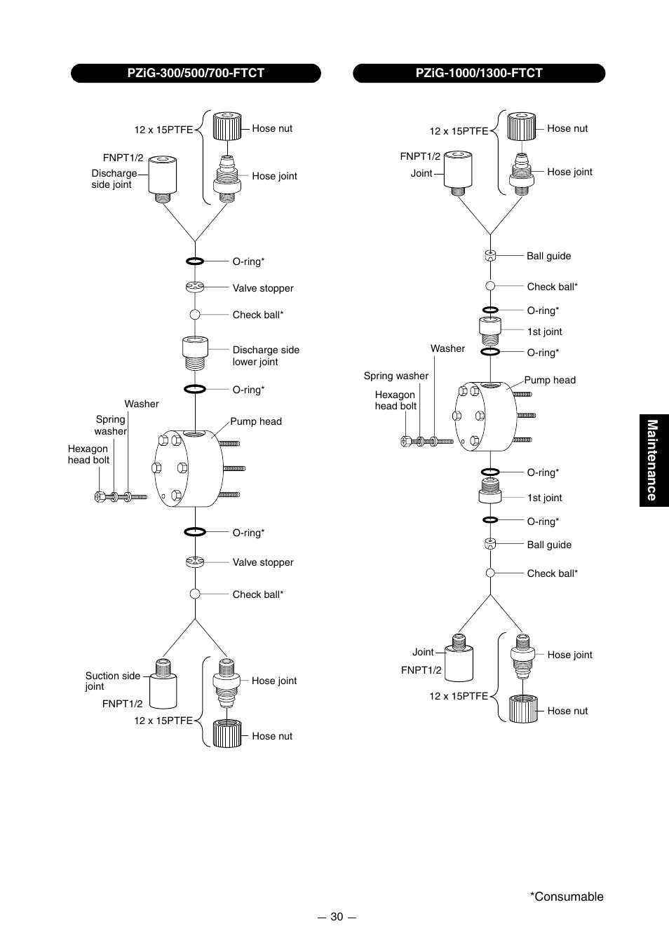 Maintenance | Pump Solutions Group PZiG Series User Manual | Page 31 / 48