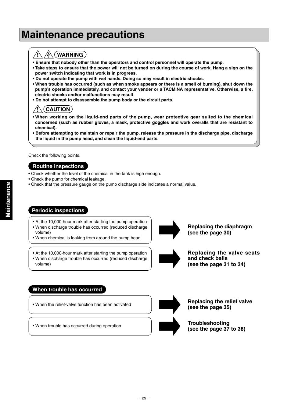 Maintenance precautions, Maintenance | Pump Solutions Group Neptune Solenoid-driven Diaphragm Metering Pump ARPZ-31_61_12 User Manual | Page 30 / 56