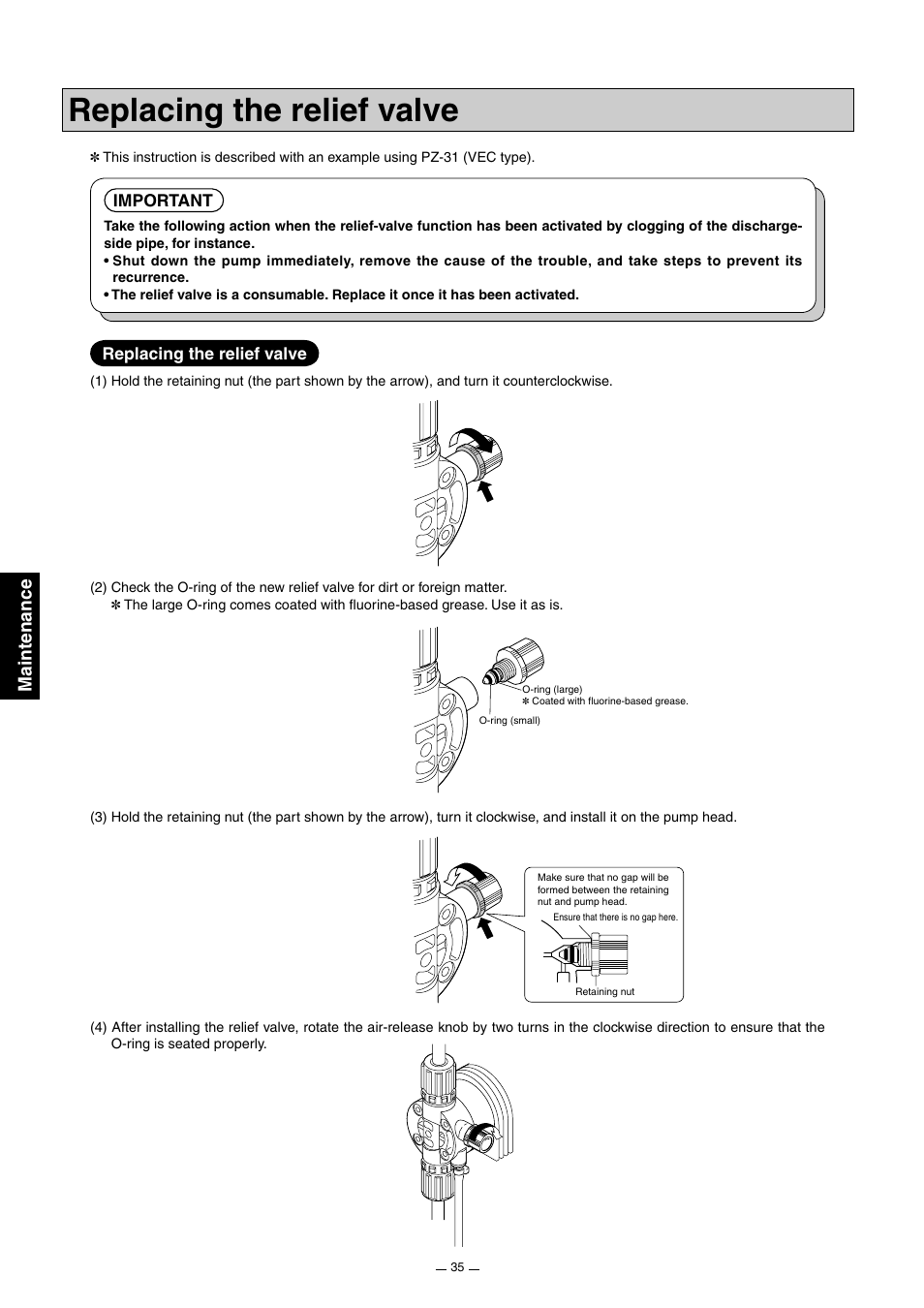 Replacing the relief valve, Maintenance, Important | Pump Solutions Group Neptune Solenoid-driven Diaphragm Metering Pump ARPZ-31_61_12 User Manual | Page 36 / 56