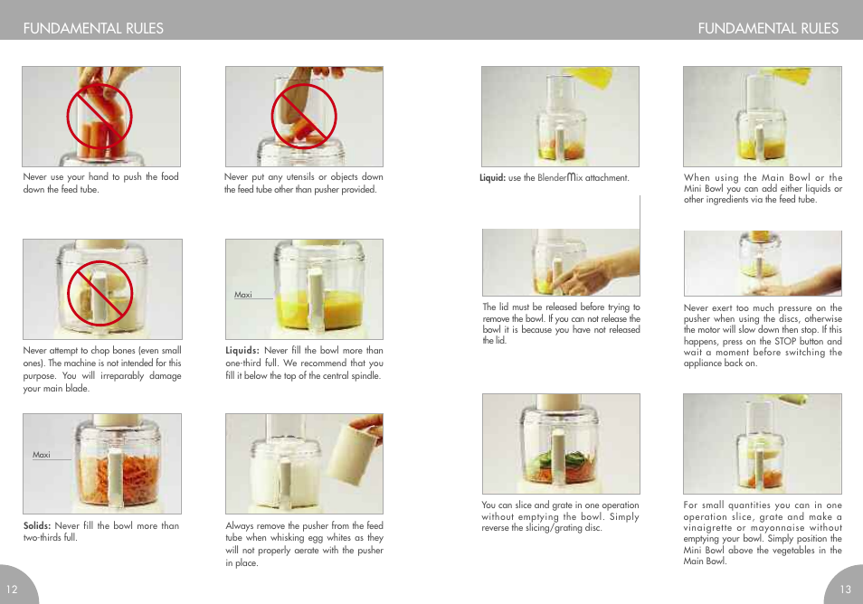 Fundamental rules | Magimix MINI PLUS User Manual | Page 9 / 45