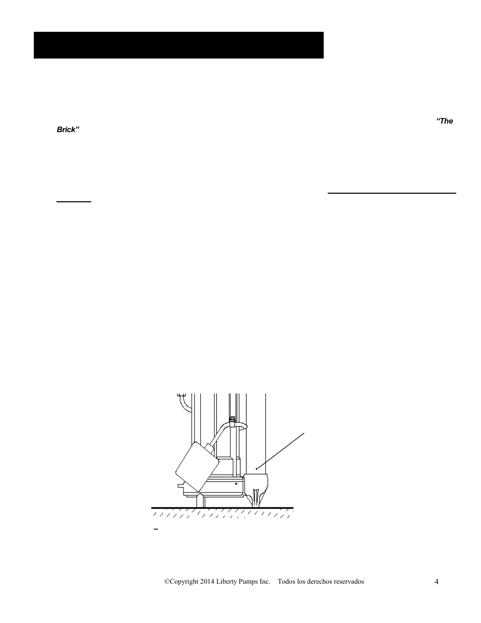 Sistemas de achique y pozos | Liberty Pumps FL100-Series User Manual | Page 14 / 30