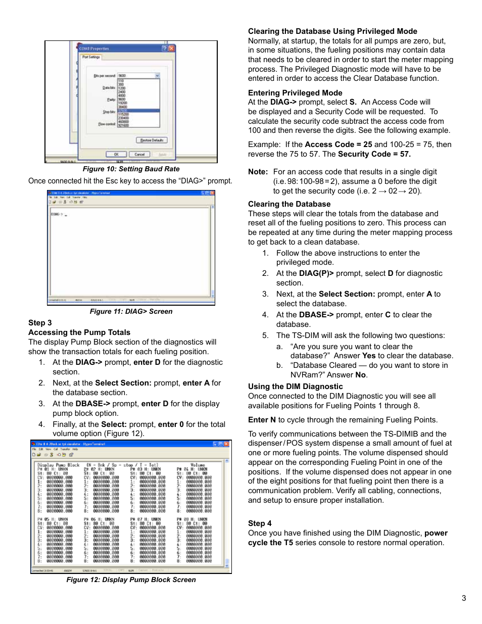 Franklin Fueling Systems TS-DIMIB Diagnostics User Manual | Page 3 / 4