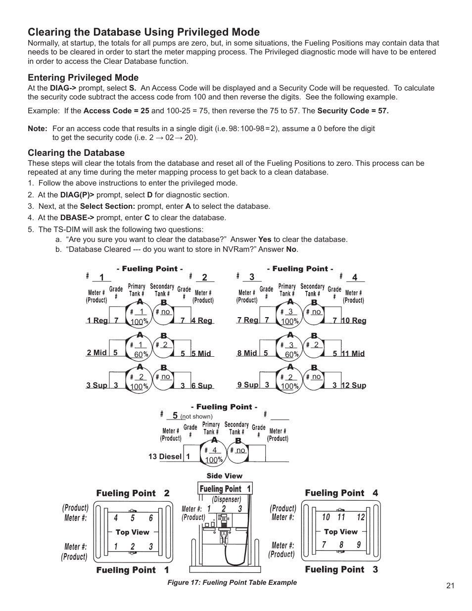 Clearing the database using privileged mode | Franklin Fueling Systems TS-DIM User Manual | Page 21 / 30