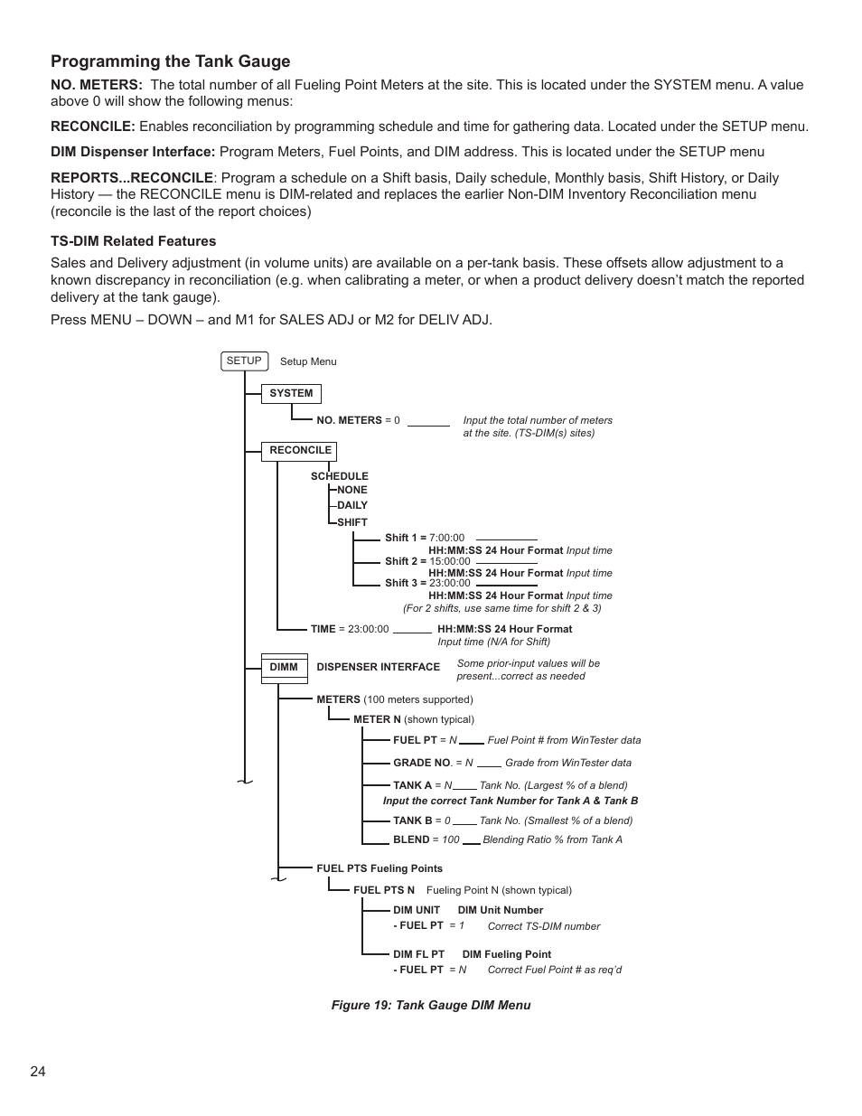 Programming the tank gauge | Franklin Fueling Systems TS-DIM User Manual | Page 24 / 30