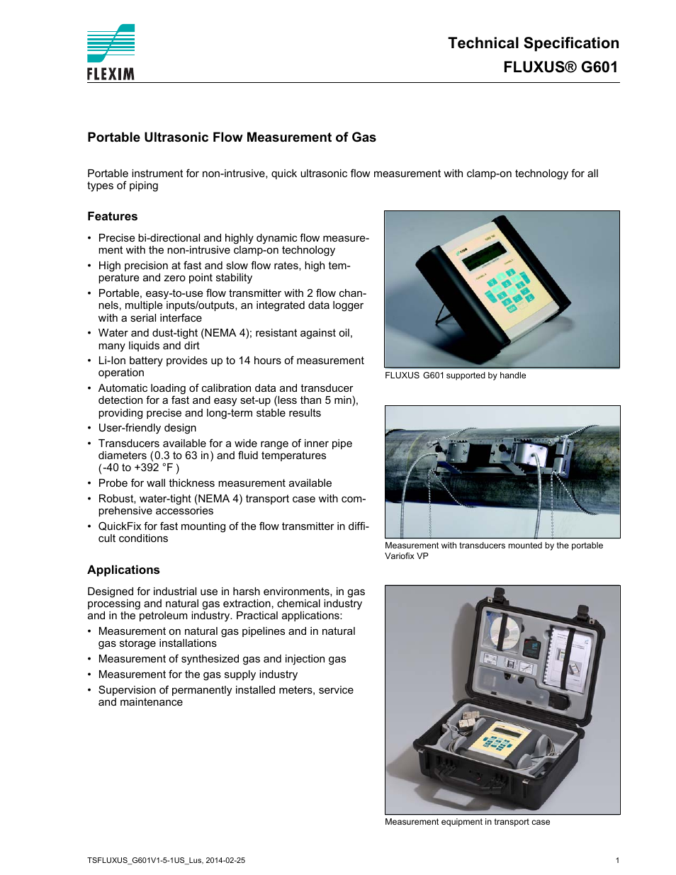 Atec Flexim-G601 User Manual | 28 pages