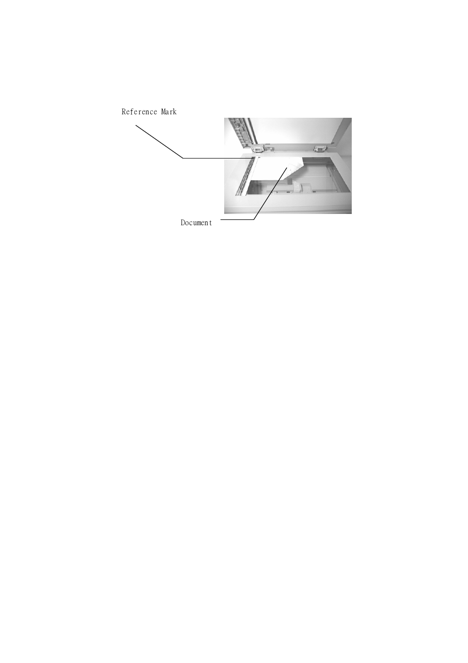 Avision AV8300 User Manual | Page 15 / 56