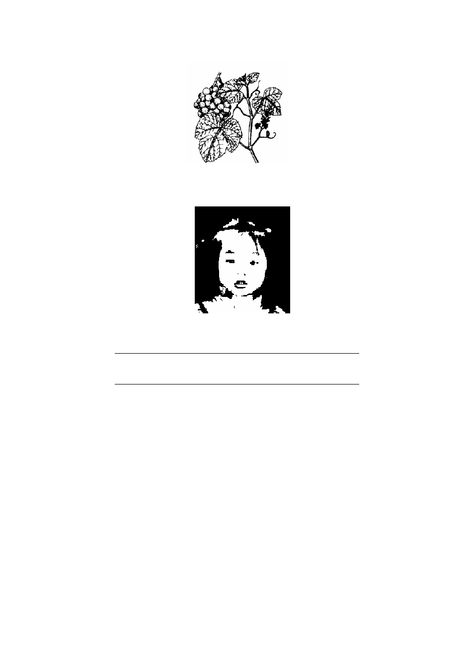 Avision AV8300 User Manual | Page 26 / 56