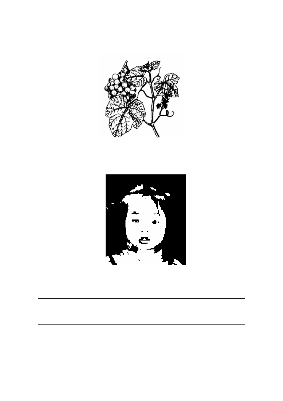 Avision AV600U User Manual | Page 33 / 66