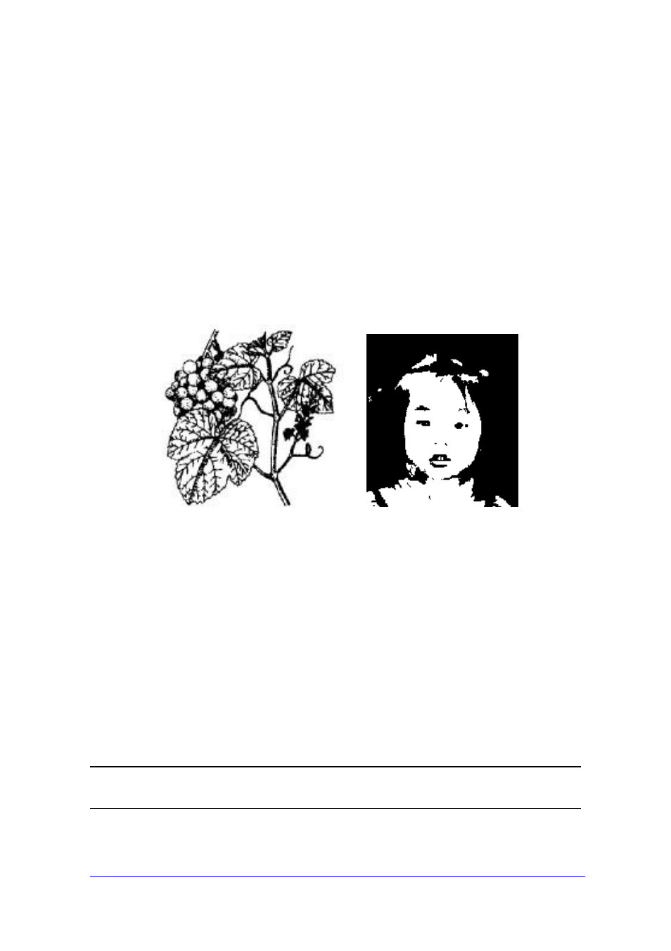 Avision AV620CS+ User Manual | Page 34 / 61