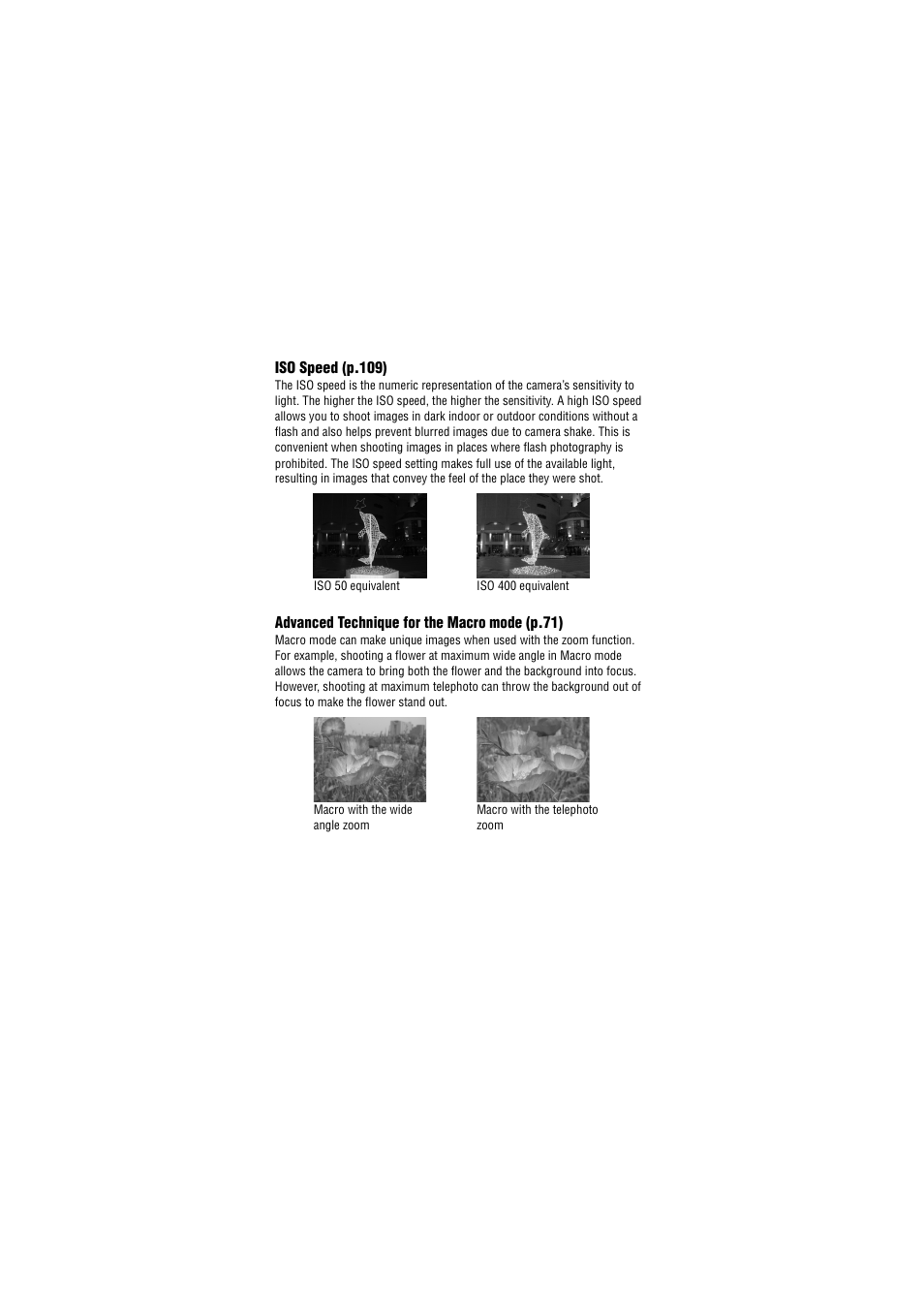 Canon IXUS 50 User Manual | Page 184 / 196