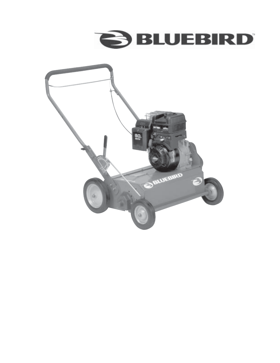 BlueBird S22H5DA User Manual | 32 pages