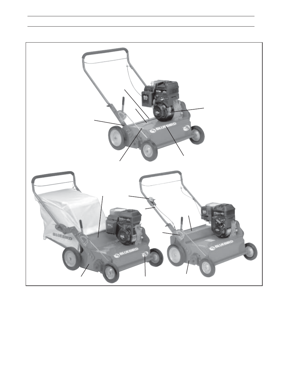 Symbols and decals | BlueBird S22H5DA User Manual | Page 5 / 32