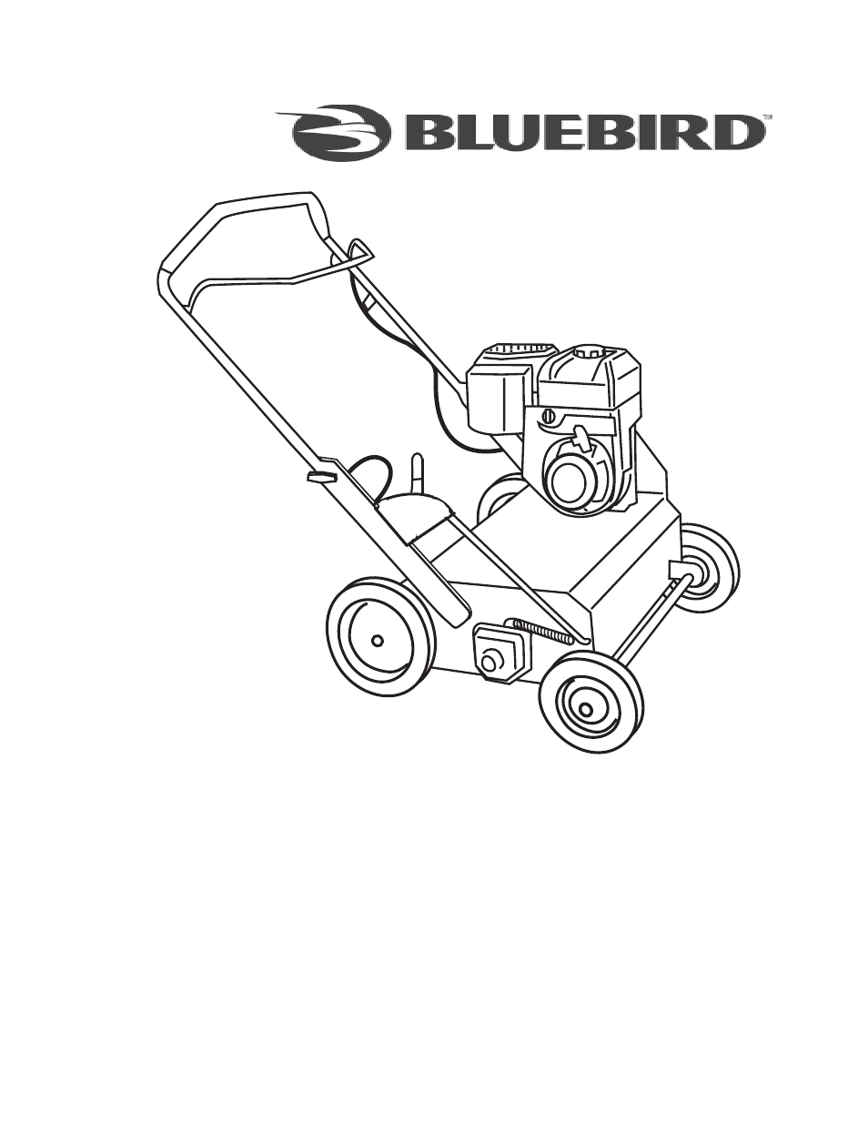 BlueBird S22S6DA_968999681 User Manual | 36 pages