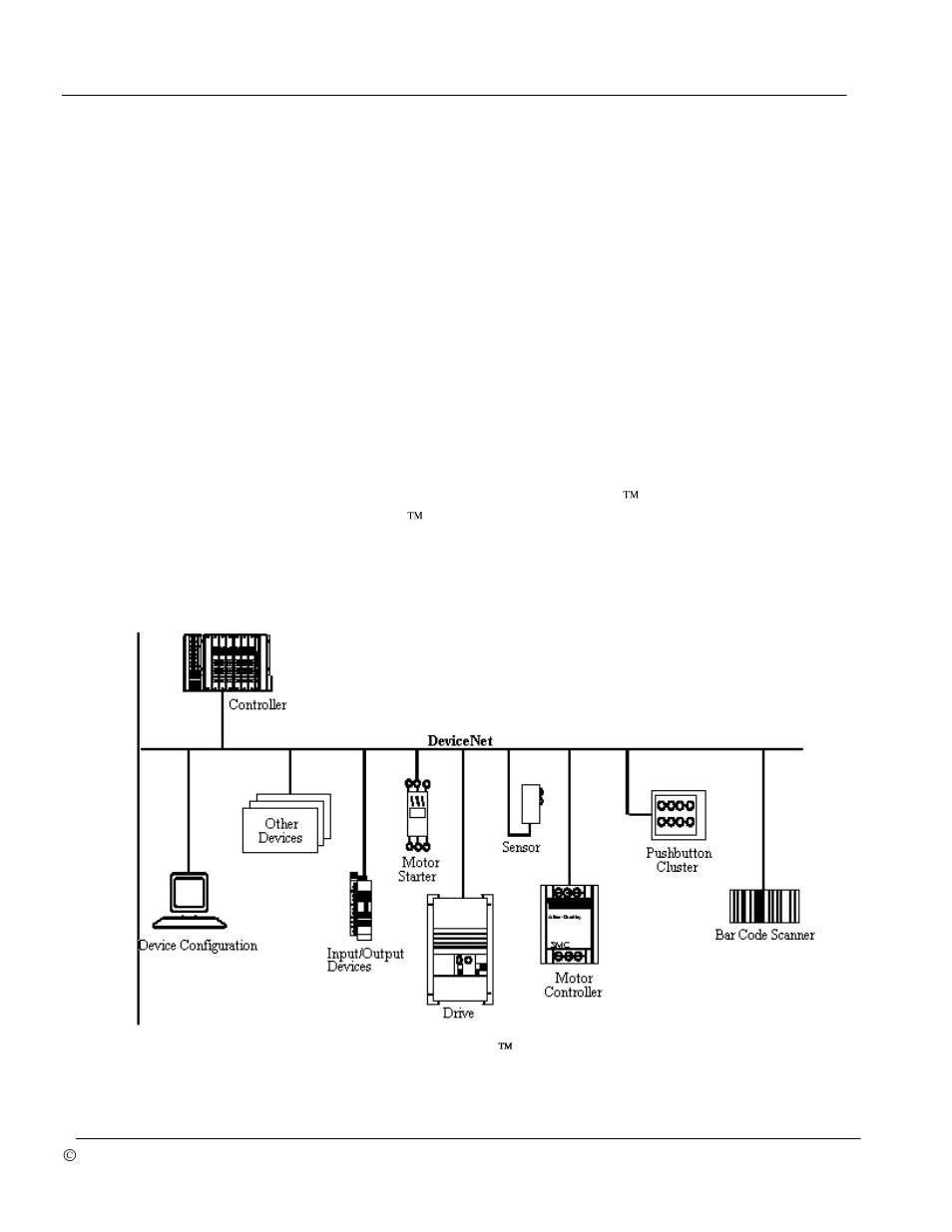 Bray 70 Series SERVO PRO DeviceNET User Manual | Page 10 / 24