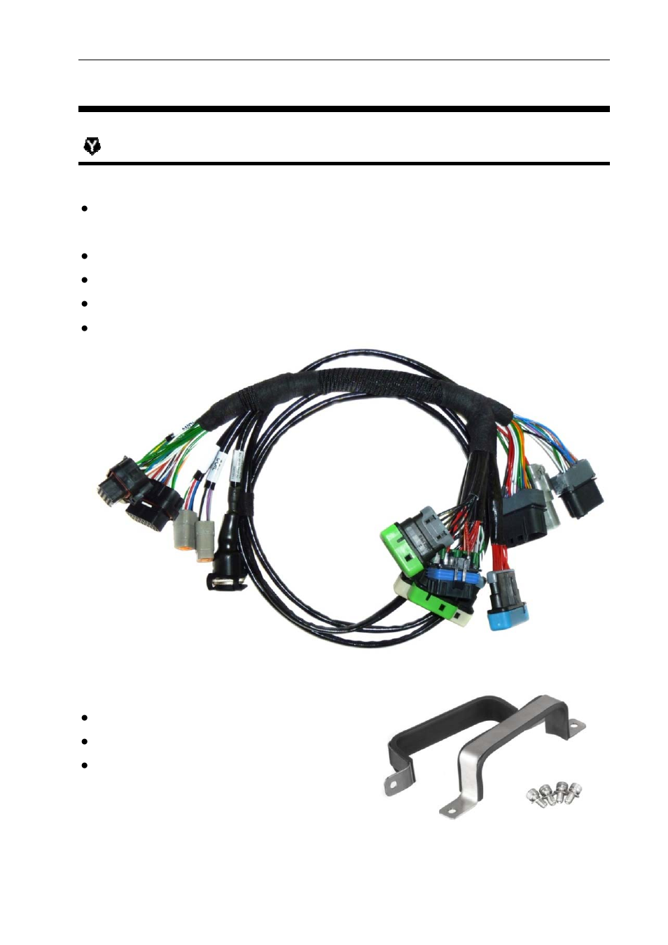 Yamaha apex installation, System | MoTeC Snowmobile Plug-In ECU User Manual | Page 11 / 46