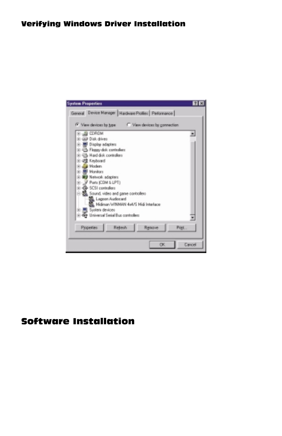 Verifying windows driver ins, Software installation, Verifying windows driver installation | M-AUDIO Lagoon User Manual | Page 9 / 28