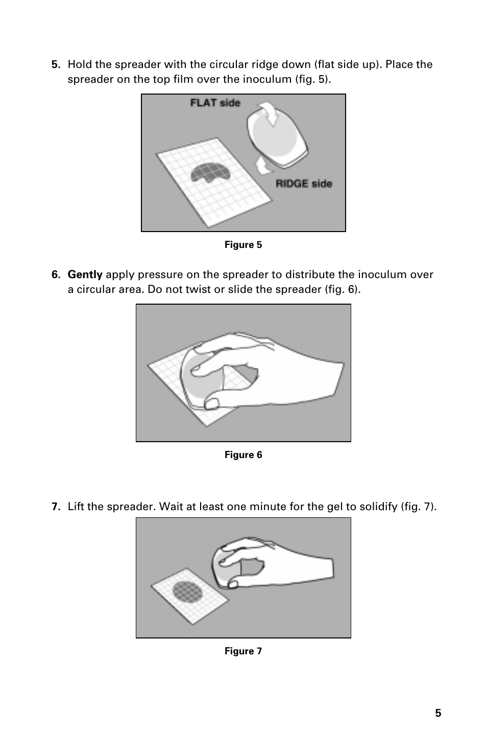 Carolina 3M Petrifilm Aerobic Count Plates User Manual | Page 5 / 8