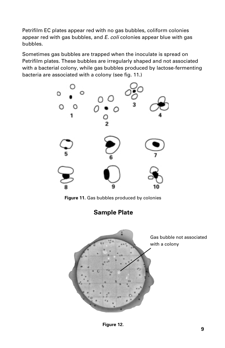 Sample plate | Carolina 3M Petrifilm E.Coli/Coliform Count Plates User Manual | Page 9 / 12