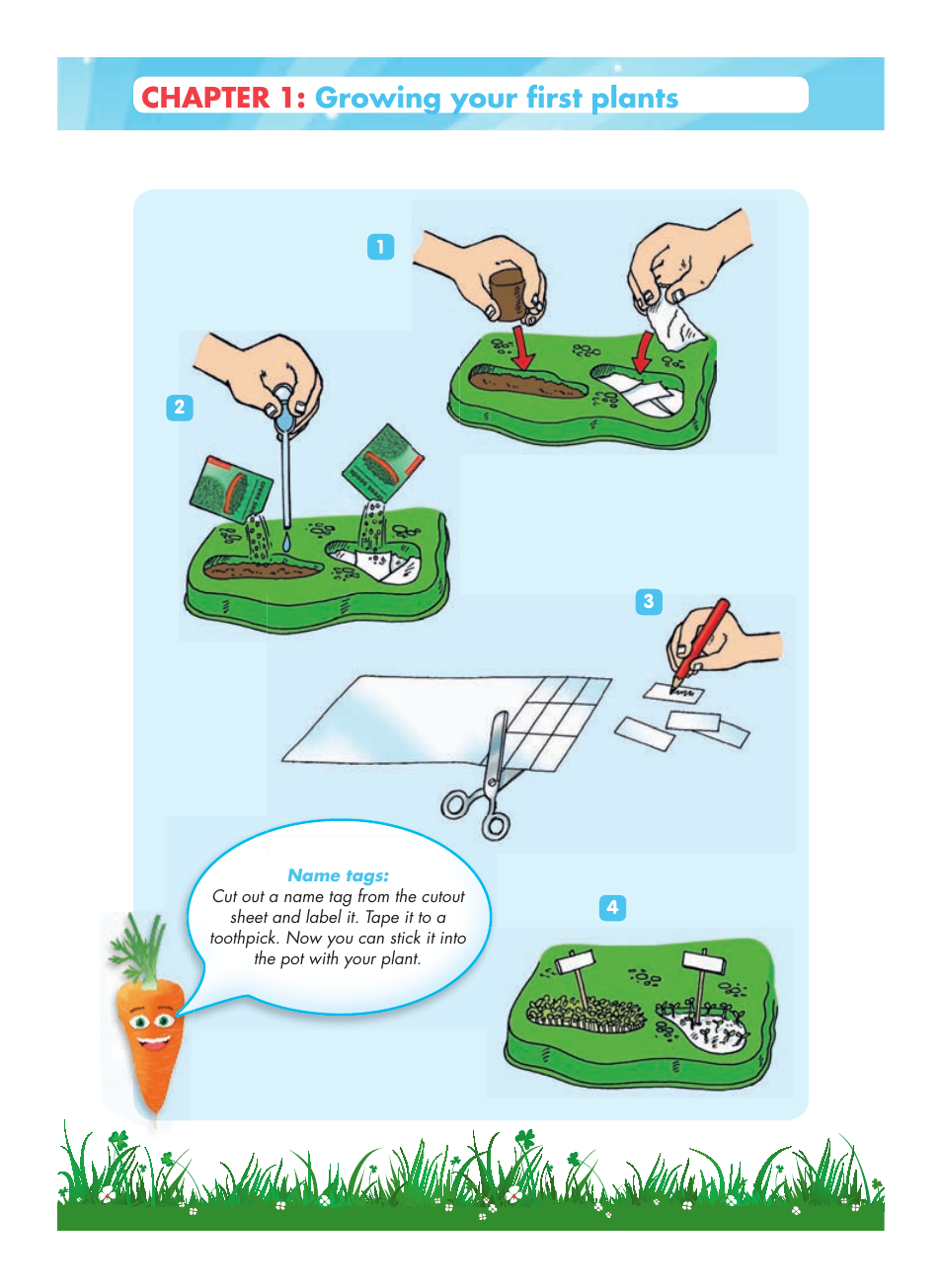 Chapter, Growing your first plants | Carolina Botany Experimental Greenhouse User Manual | Page 3 / 6