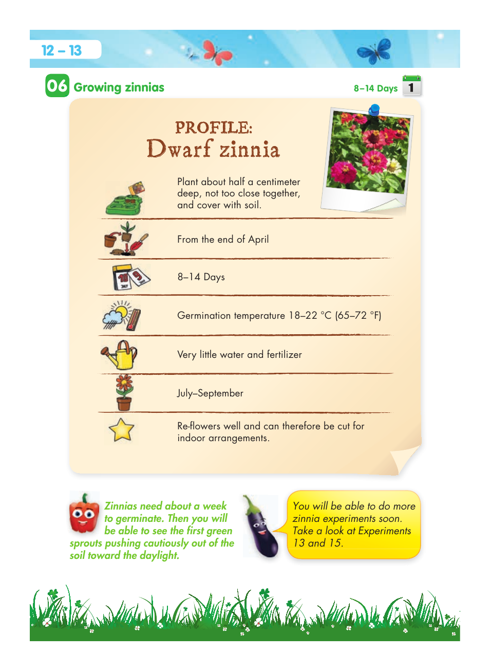 Dwarf zinnia, Profile | Carolina Botany Experimental Greenhouse User Manual | Page 4 / 6